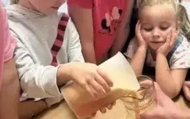 558032689_24693551553617213_9064338413399237150_n